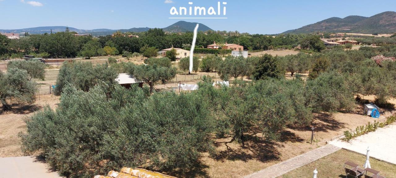 Villa Klinai Cerveteri Exterior foto